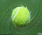 Islak tenis topu